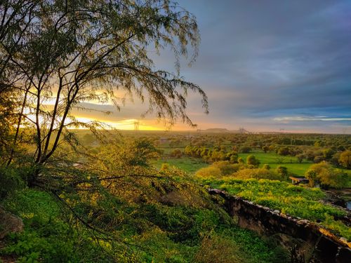 Free Scenic view of a lush green landscape during sunset with vibrant colors and clear skies. Stock Photo