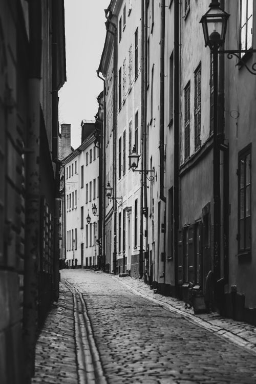 Free Black and white street view showcasing narrow cobblestone alley and tall urban buildings. Stock Photo