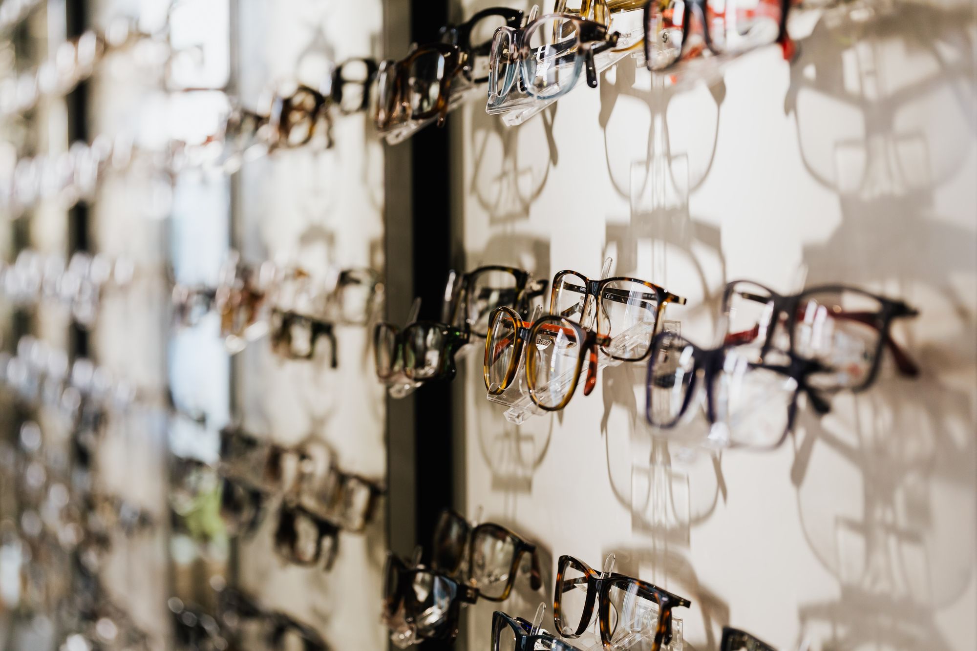 Exhibición de lentes en la óptica