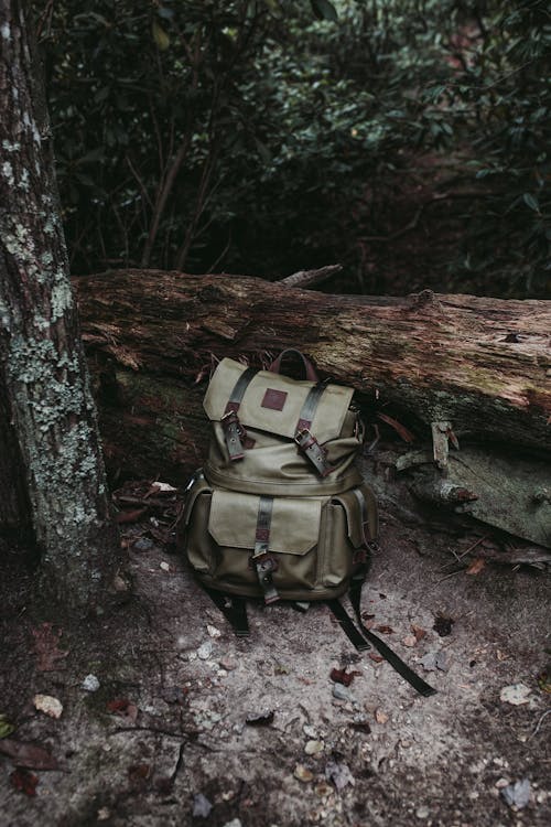 Ransel Abu Abu Dan Hitam Di Atas Log Brown Tree