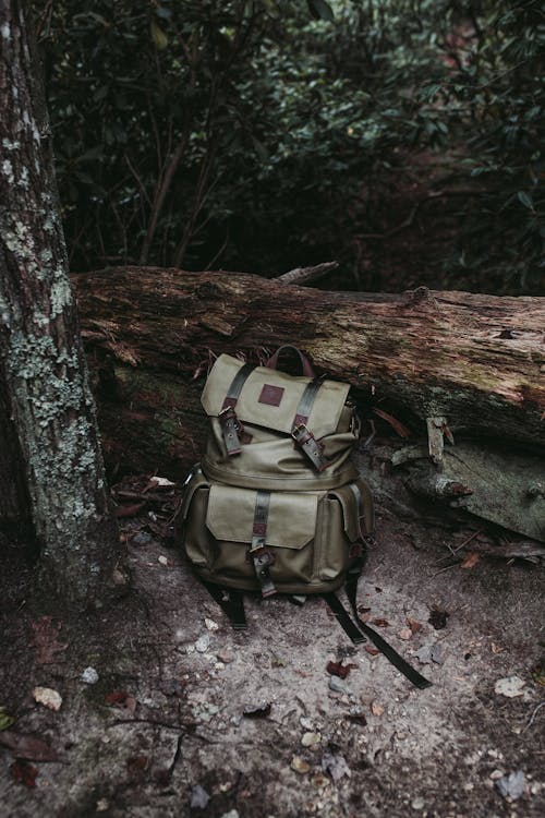 Dark Green Backpack near Tree Log · Free Stock Photo