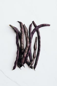 一束充满活力的紫豆优雅地排列在干净的白色表面上