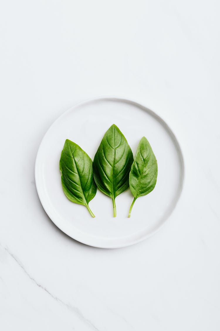 Green Leaves On White Round Plate