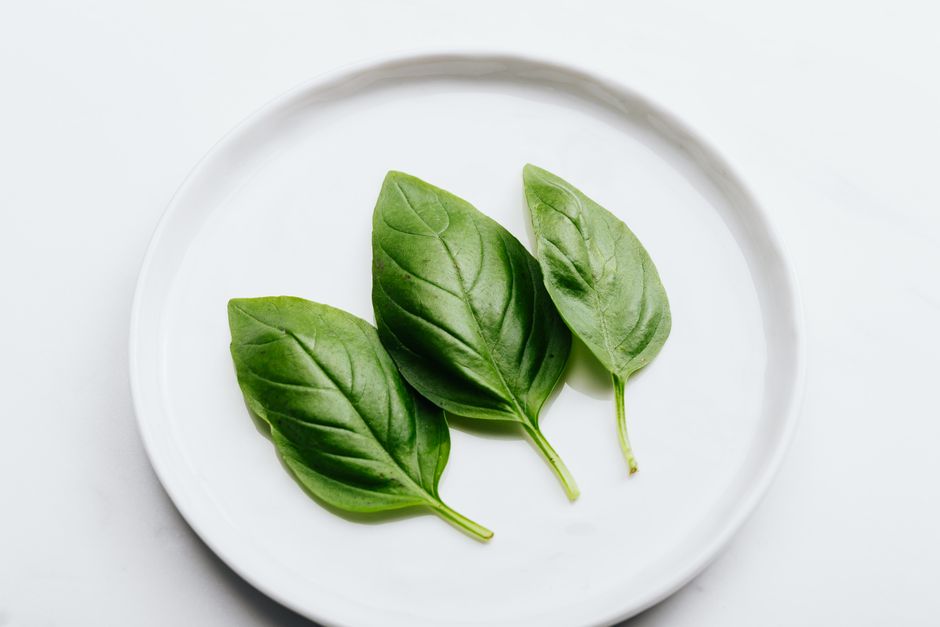 Fresh basil leaves arranged on a white plate`