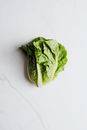 Romaine Lettuce on a Flat Surface