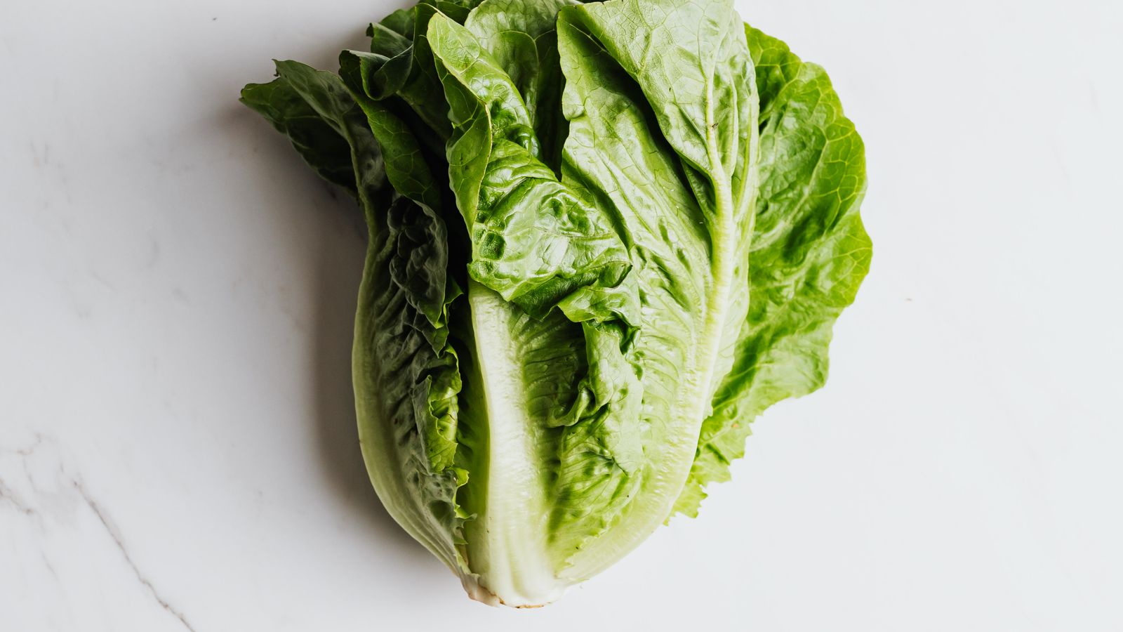 Fresh romaine lettuce on a marble background — photo by kaboompics.com on Pexels Fresh romaine lettuce on a marble background