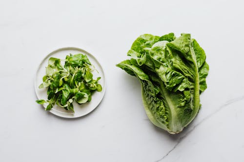 Free Close-Up of Spinach and Romaine Lettuce Stock Photo