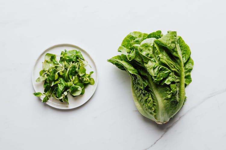 Close-Up Of Spinach And Romaine Lettuce