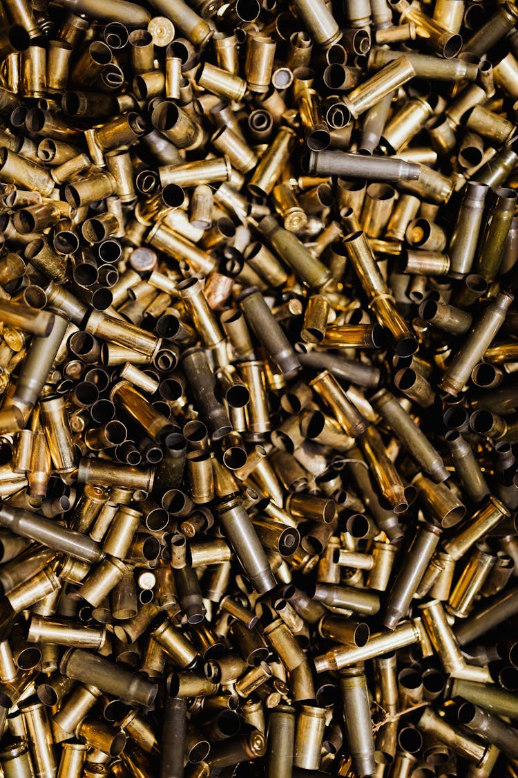 Empty Bullet Cartridge Cases