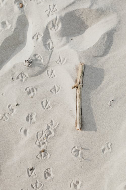 Бесплатное стоковое фото с белый песок, вертикальный выстрел, высохший