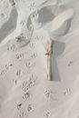 Dried Stick on White Sand