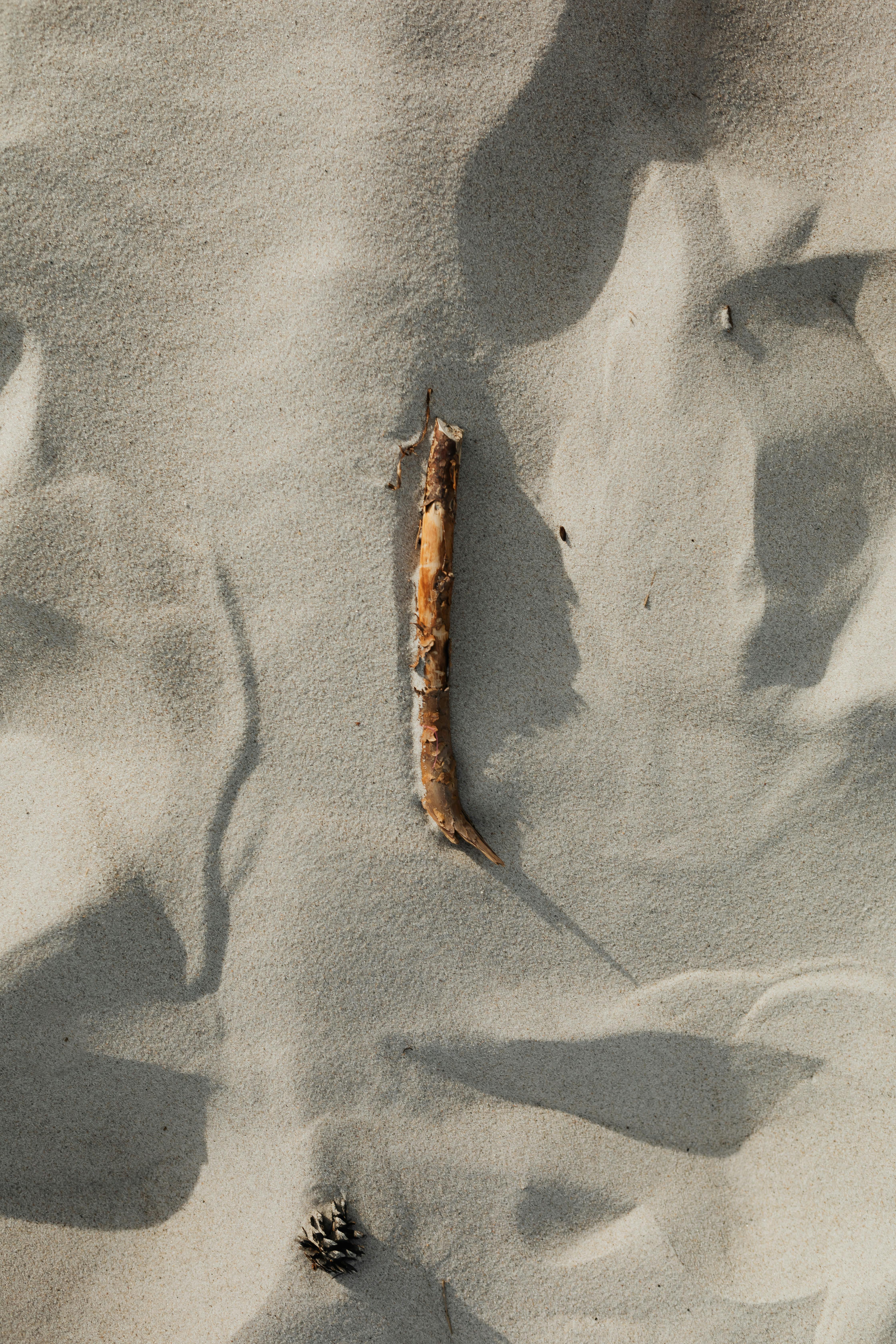 short brown stick on white sand