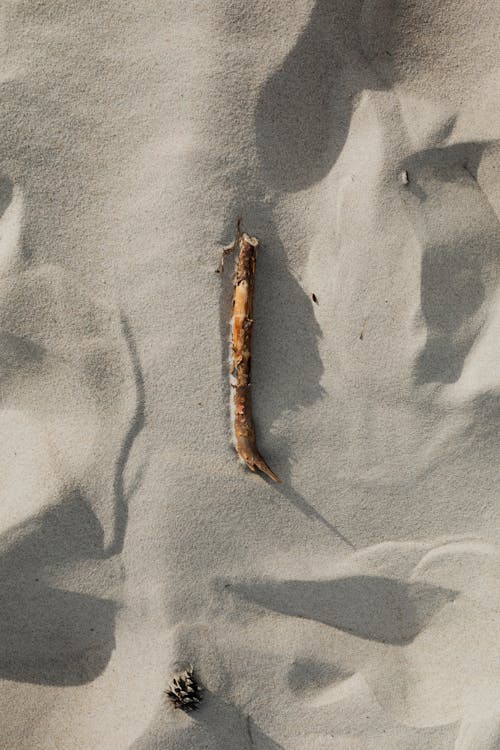 Free Short Brown Stick on White Sand Stock Photo