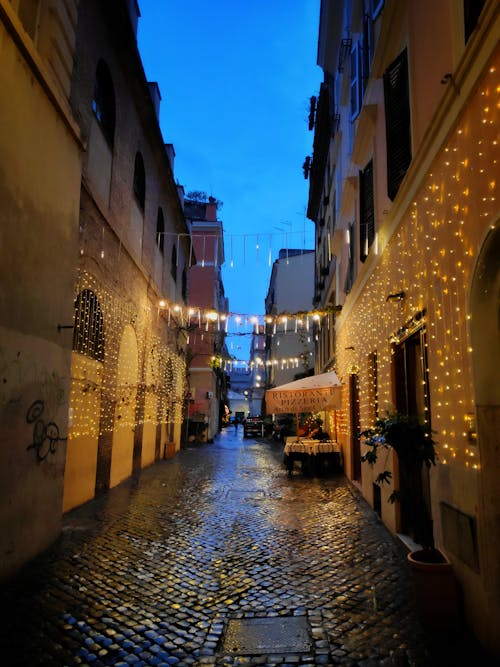 Free stock photo of after rain, atmospheric evening, europe