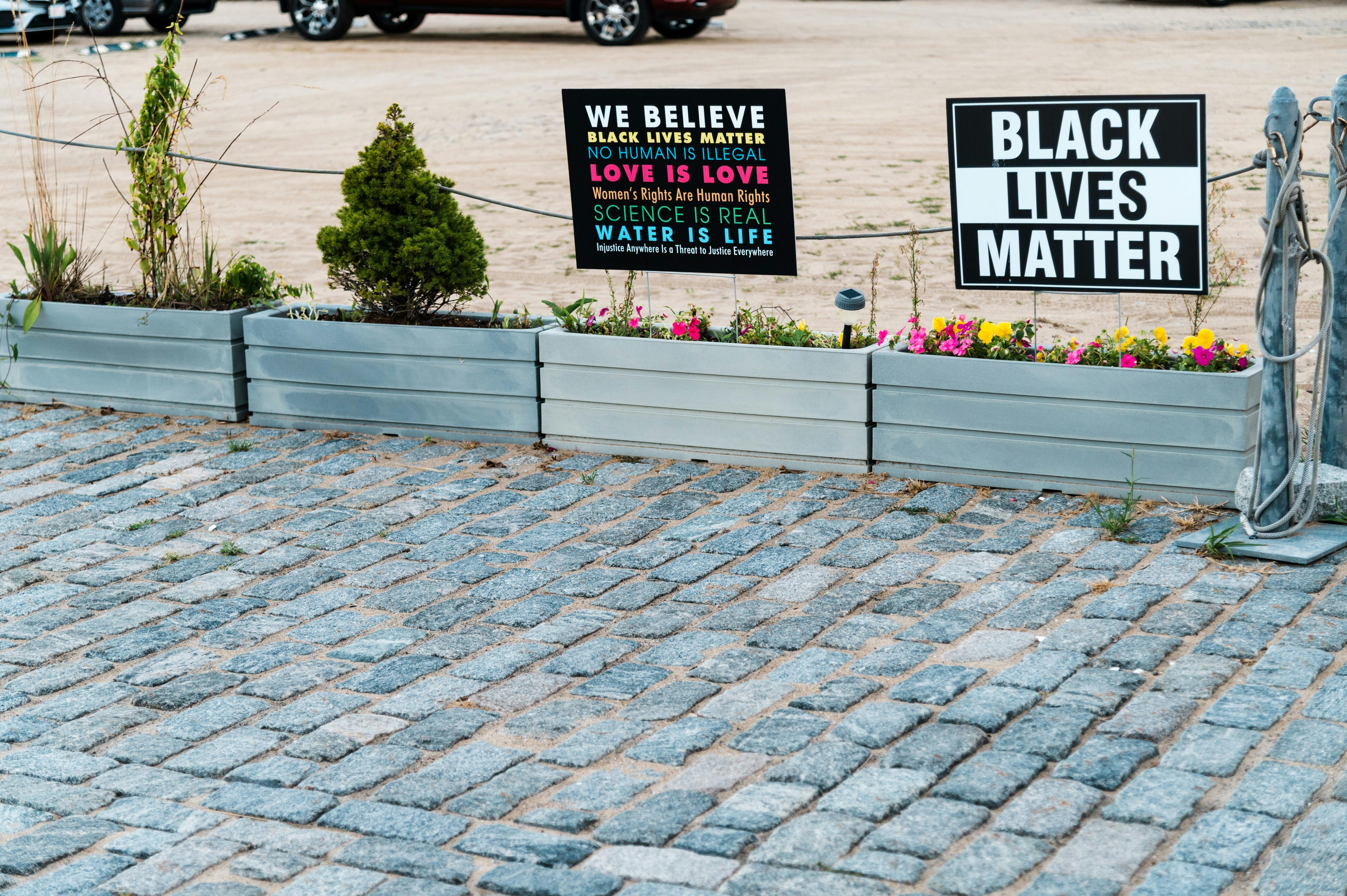 Signboards with Black Lives Matter titles above bright blossoming flowers near shabby pavement in town