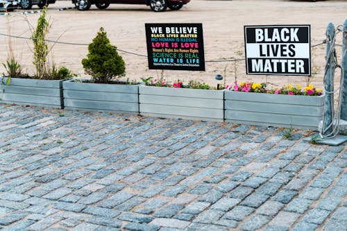 Signboards with Black Lives Matter titles above bright blossoming flowers near shabby pavement in town