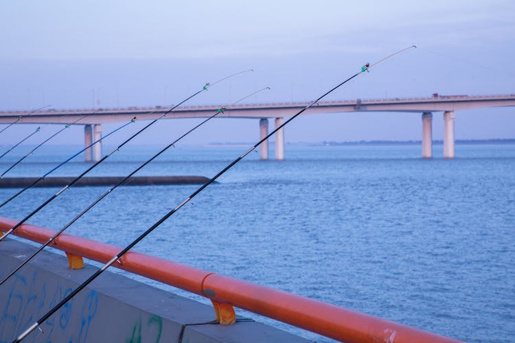 Fishing Boat With Rods On River Near Bridge