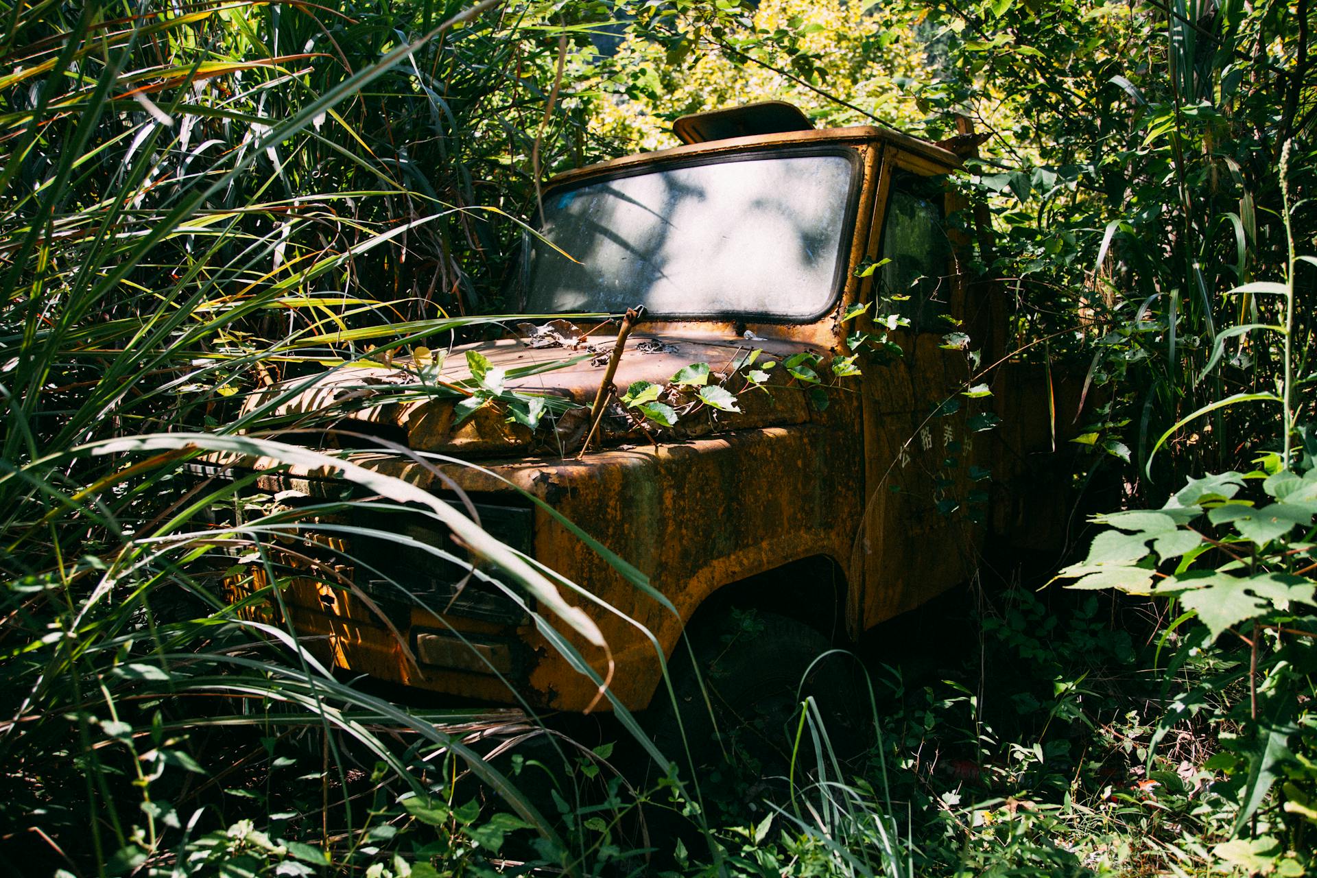 An old rusty vehicle enveloped by thick greenery, showcasing nature's reclaim over man-made structures.