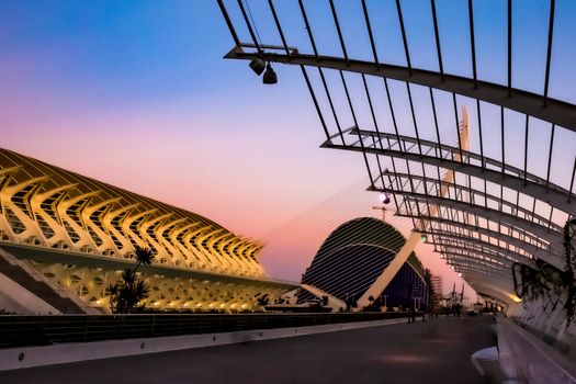 City of Arts and Sciences private tour — Valencia