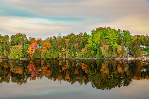 Základová fotografie zdarma na téma jezero, odrazy, příroda