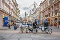 White Horse With Carriage on Street