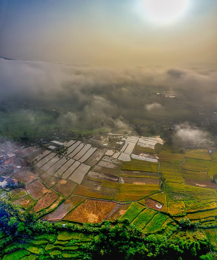 Aerial View Of The Farm Field 