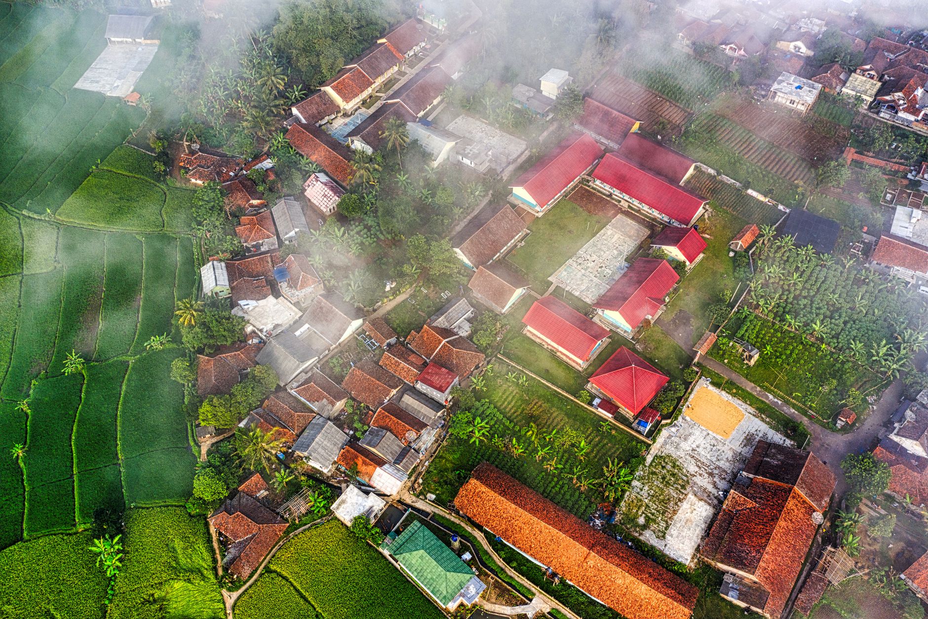Aerial view of a West Java village with lush fields and red-roofed houses.