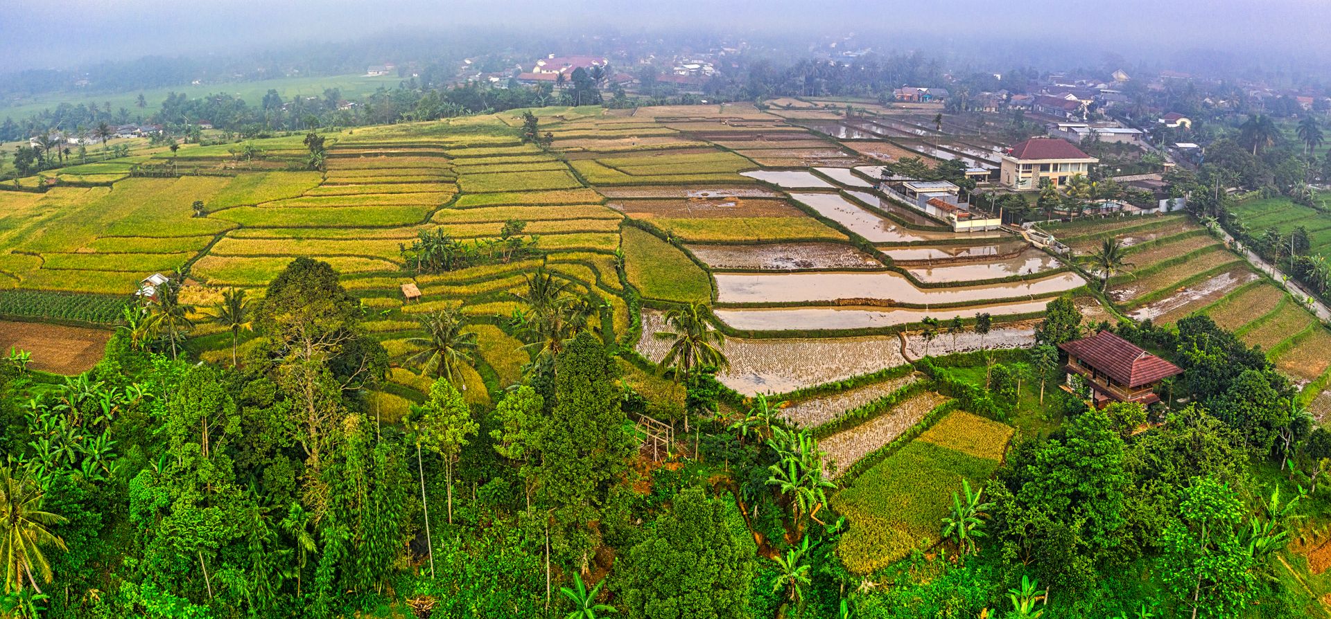 Stunning aerial view of rice terraces in West Java, Indonesia, showcasing lush farmland and rural landscape.