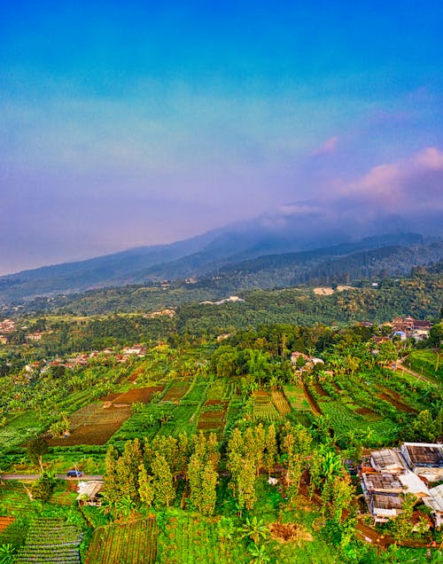 印尼, 垂直拍攝, 山 的 免費圖庫相片