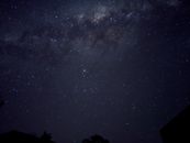 Silhouette of Trees Under Starry Night