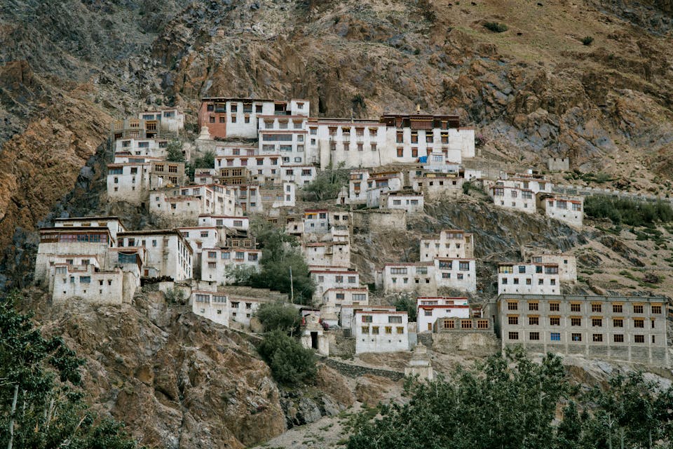 Ladakh Festival Ladakh
