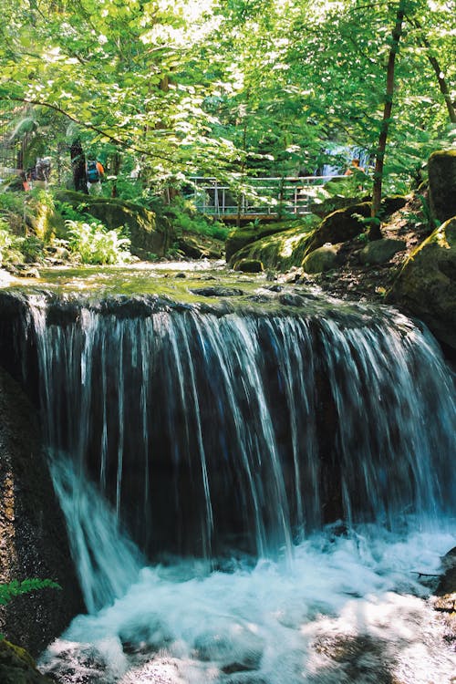 Gratis stockfoto met buiten, cascade, groene bomen