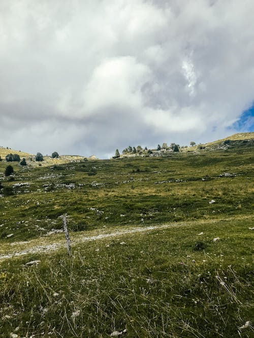 alan, beyaz bulutlar, dikey atış içeren Ücretsiz stok fotoğraf