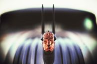 Brown Dried Leaf on Black Metal Pipe