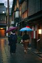 两名身穿和服、打着伞的妇女走在京都历史悠久的巷子里，展现了日本文化
