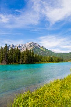 Picturesque view of blue transparent pond located in highland among dense coniferous woods and high mountains