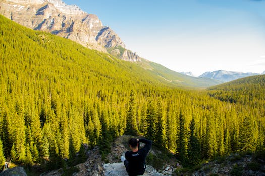 Back view of anonymous man sitting on rock and taking photo of spectacular landscape of mountains covered with spruce forest in sunny day