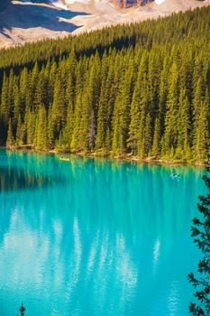 Breathtaking scenery of blue river flowing among hills covered with spruce forest in sunny day