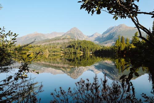 High mountains and forest reflecting in lake