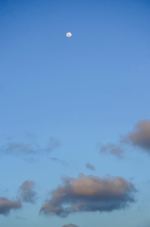 Free A serene sky in Sri Lanka showcasing the moon and scattered clouds during twilight. Stock Photo