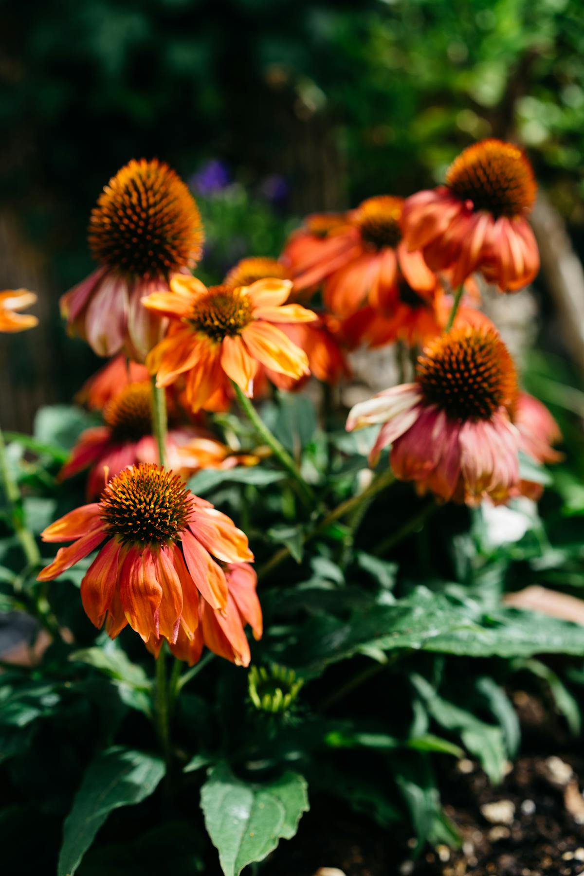Person scrolling social media on a smartphone while sitting at a table with a small snack
