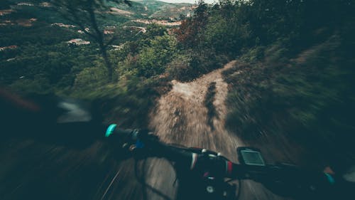 Fotos de stock gratuitas de anochecer, bici, bosque