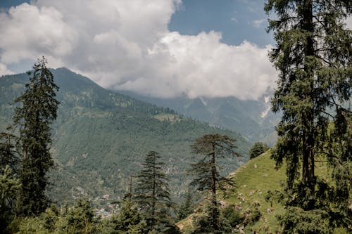 Incroyable Vallée De Montagne Avec Sapins Verts Et Petit Village