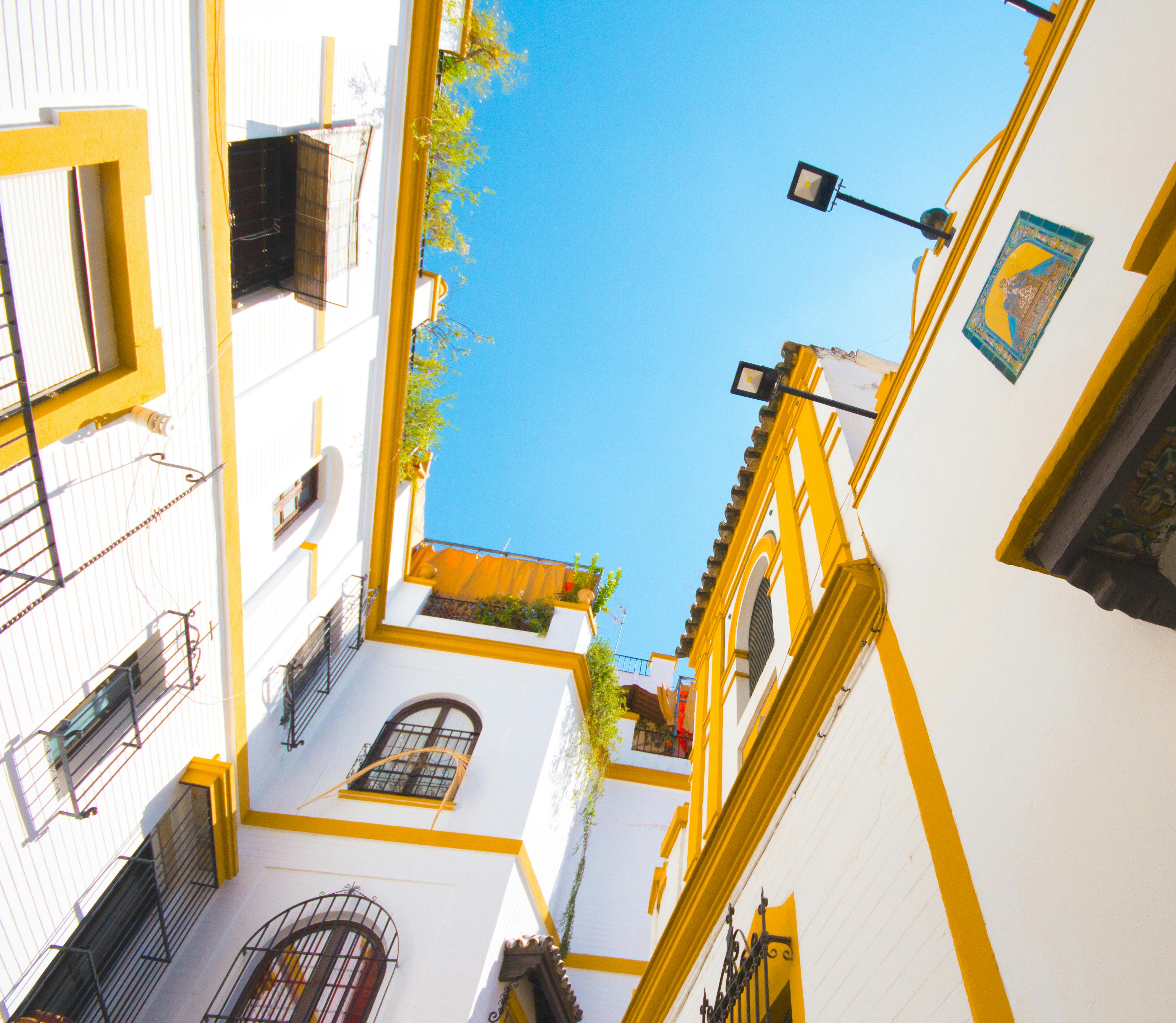 Kostenloses Foto zum Thema: drinnen, garten, glühbirne