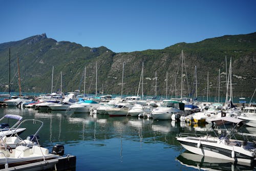 Free Speedboats Docked on the Harbour Stock Photo
