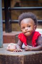 Girl in Red Shirt Sitting on Brown Wooden Bench