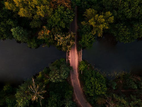 An Aerial Shot of a Bridge over a River in a Forest