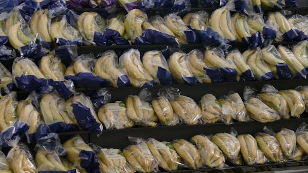 heart shape and stethoscope