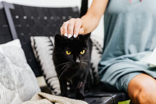 一个女人坐在室内时尚的沙发上，轻轻地抚摸着黑猫