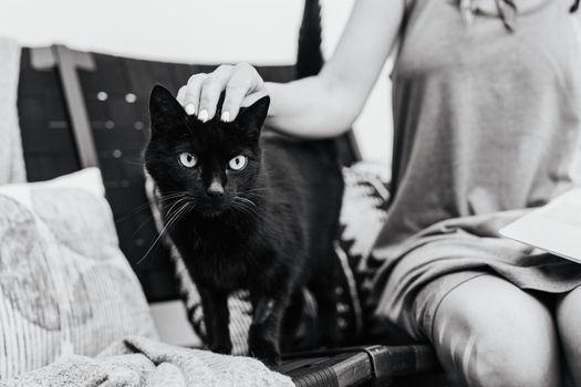 一张黑白照片里，一个女人在室内抚摸着一只黑猫